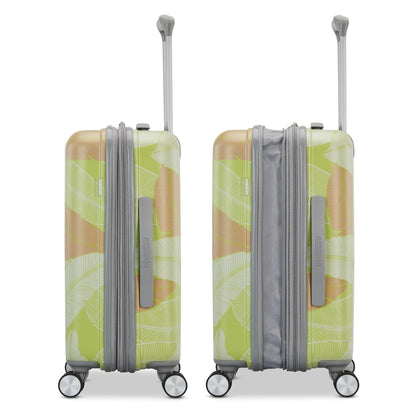 American Tourister Moonlight II 28-inch Checked Luggage with Spinner Wheels - Palm Print
