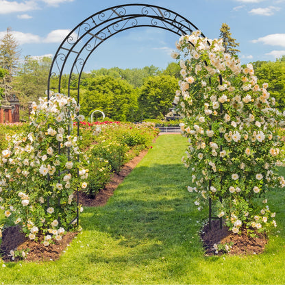 84" Tall Double Layer Iron Garden Arch Trellis, Black, Powder Coated Rustproof Plant Support for Climbing Roses, Vines and Flowers, Decorative Outdoor Wedding Arbor with Easy Ground Stakes