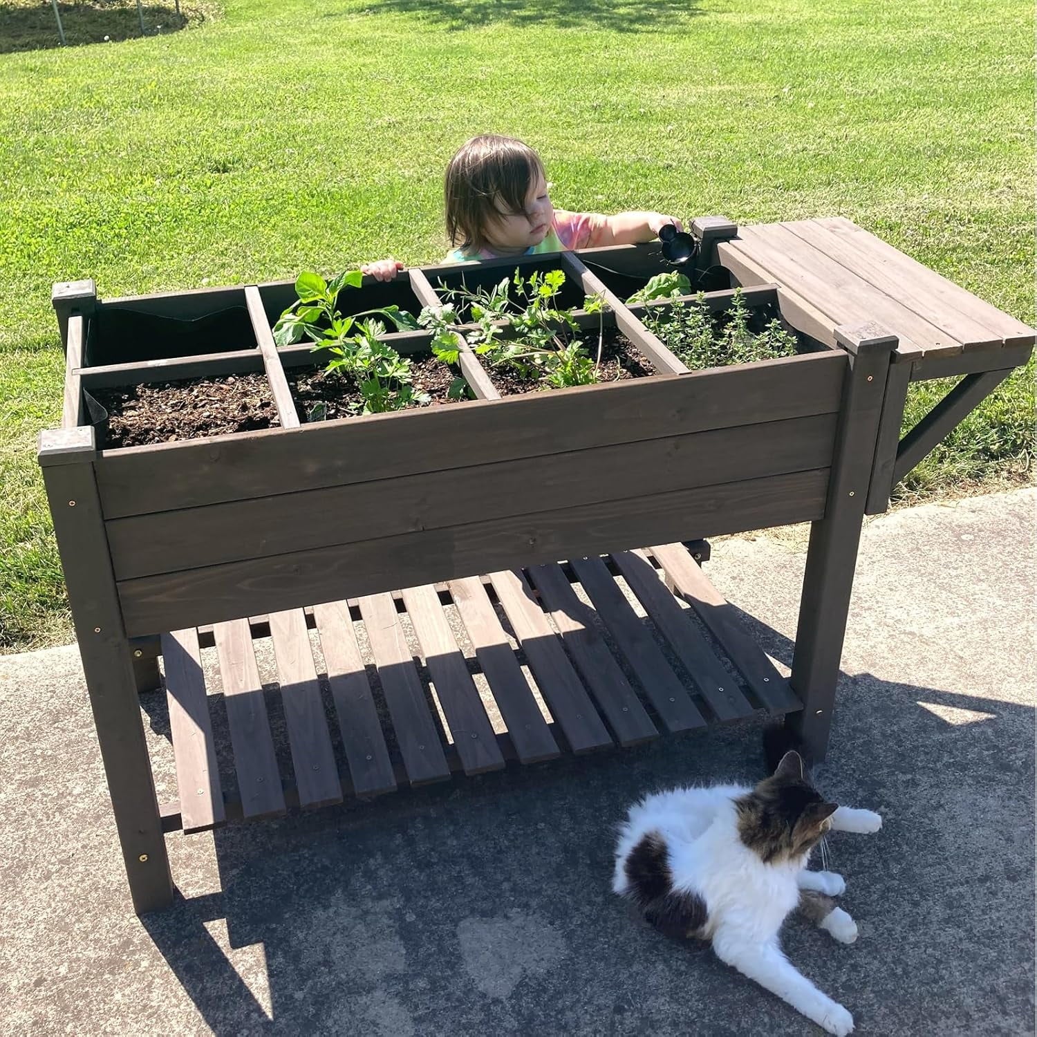 MEDEHOO Elevated Wooden Planter Box with Locking Casters - 52.7" L x 22" W x 30" H Raised Garden Bed, Removable Liner & 230lb Weight Capacity for Outdoor Plants