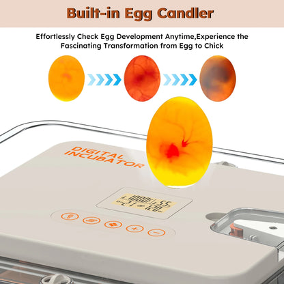 Montary 56 Egg Incubator: Auto Turning, Humidity Control & Water Refill for Chicken/Duck/Goose Eggs w/Candler