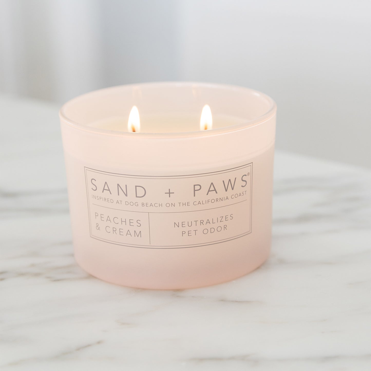 Sand + Paws 12 oz. Candles with Carved Wood Lids, Set of 3