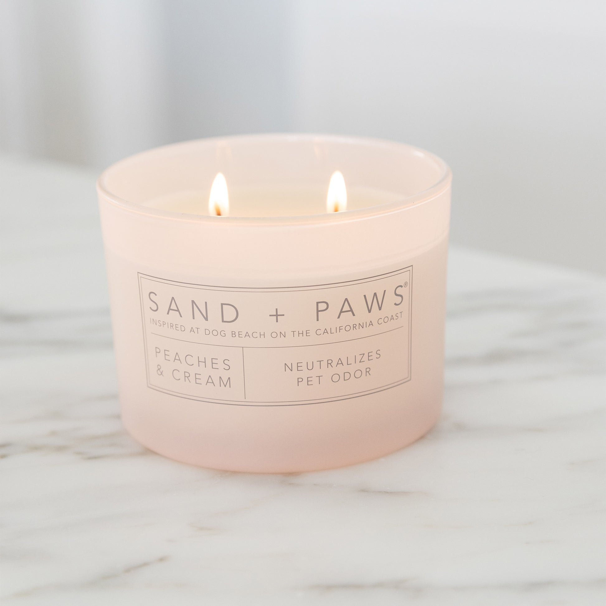 Sand + Paws 12 oz. Candles with Carved Wood Lids, Set of 3