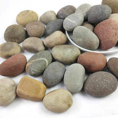 Black River Rocks for Landscaping, 2-3 Inch Natural River Rocks for Garden Beds, Potted Plants, Fish Tanks, DIY Pathway and Backyard Accent, Stones for Crafts, Walkways(40lbs Bulk)