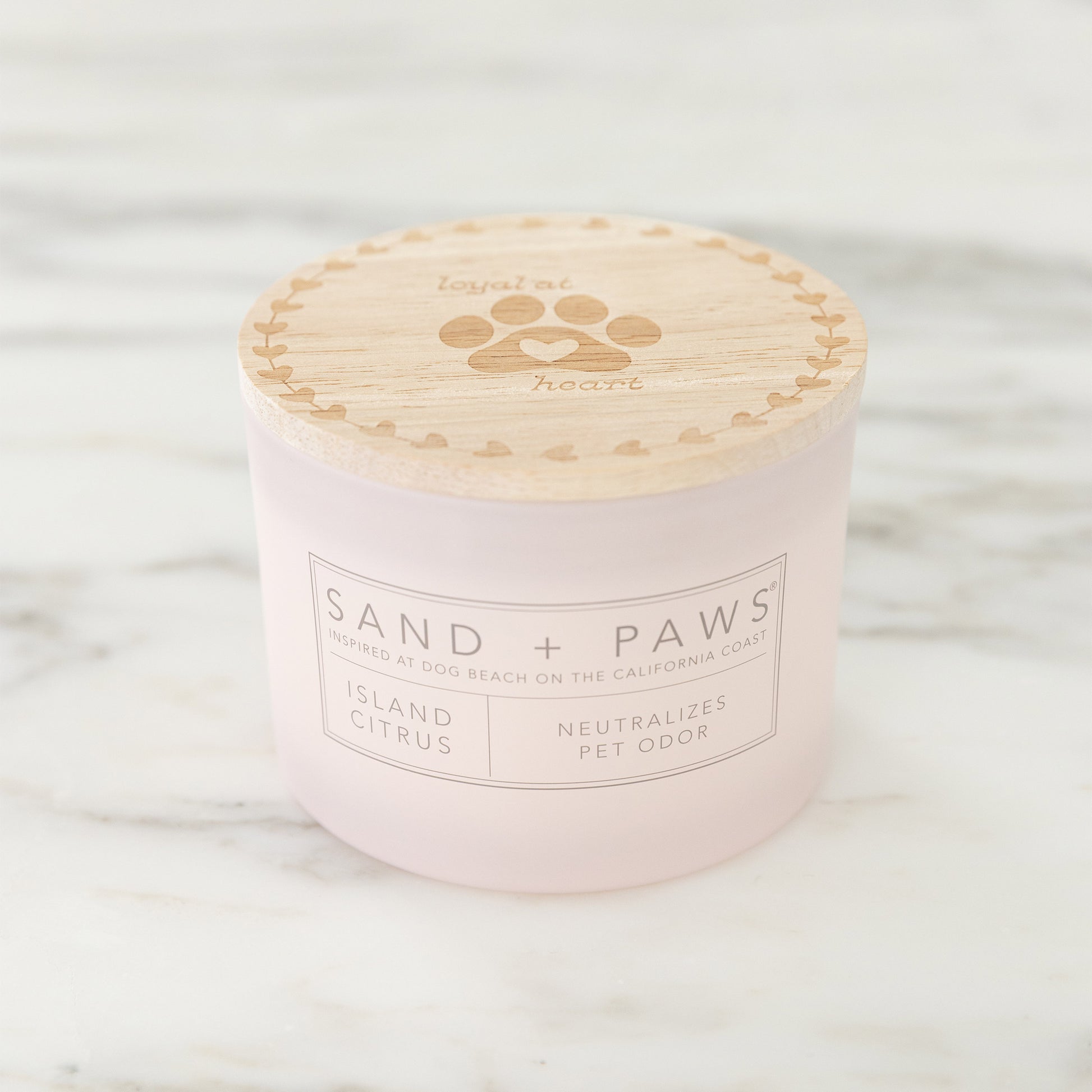 Sand + Paws 12 oz. Candles with Carved Wood Lids, Set of 3