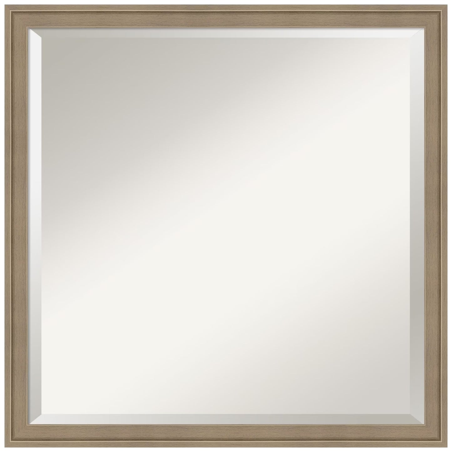 Amanti Art Florence Silver Beveled Wall Mirror 31.75 x 41.75 in.