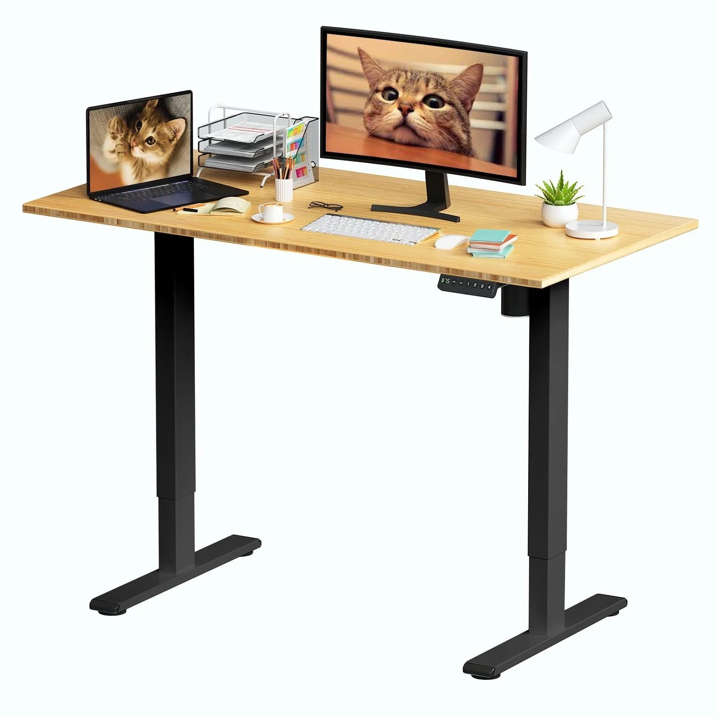 FlexiSpot 100% Bamboo Whole-Piece Desktop Ergonomic Electric Home Office Standing Desk Memory Controller 55''X28'' - Black
