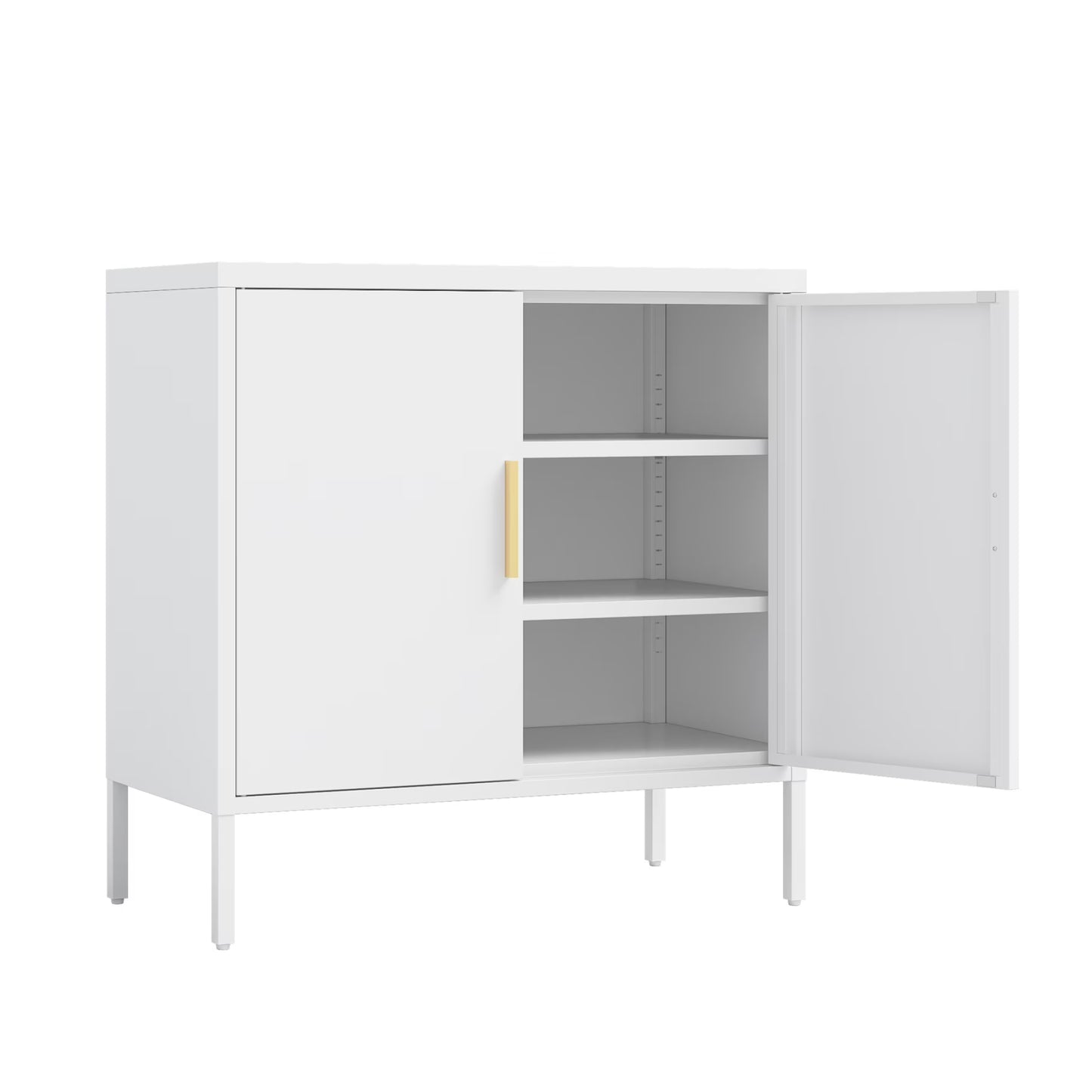 31.5" Metal Storage Cabinet with 2 Doors and 2 Adjustable Shelves, Garage Storage Cabinet with Metal Handles, Metal File Cabinet for Home Office School Gym, Black