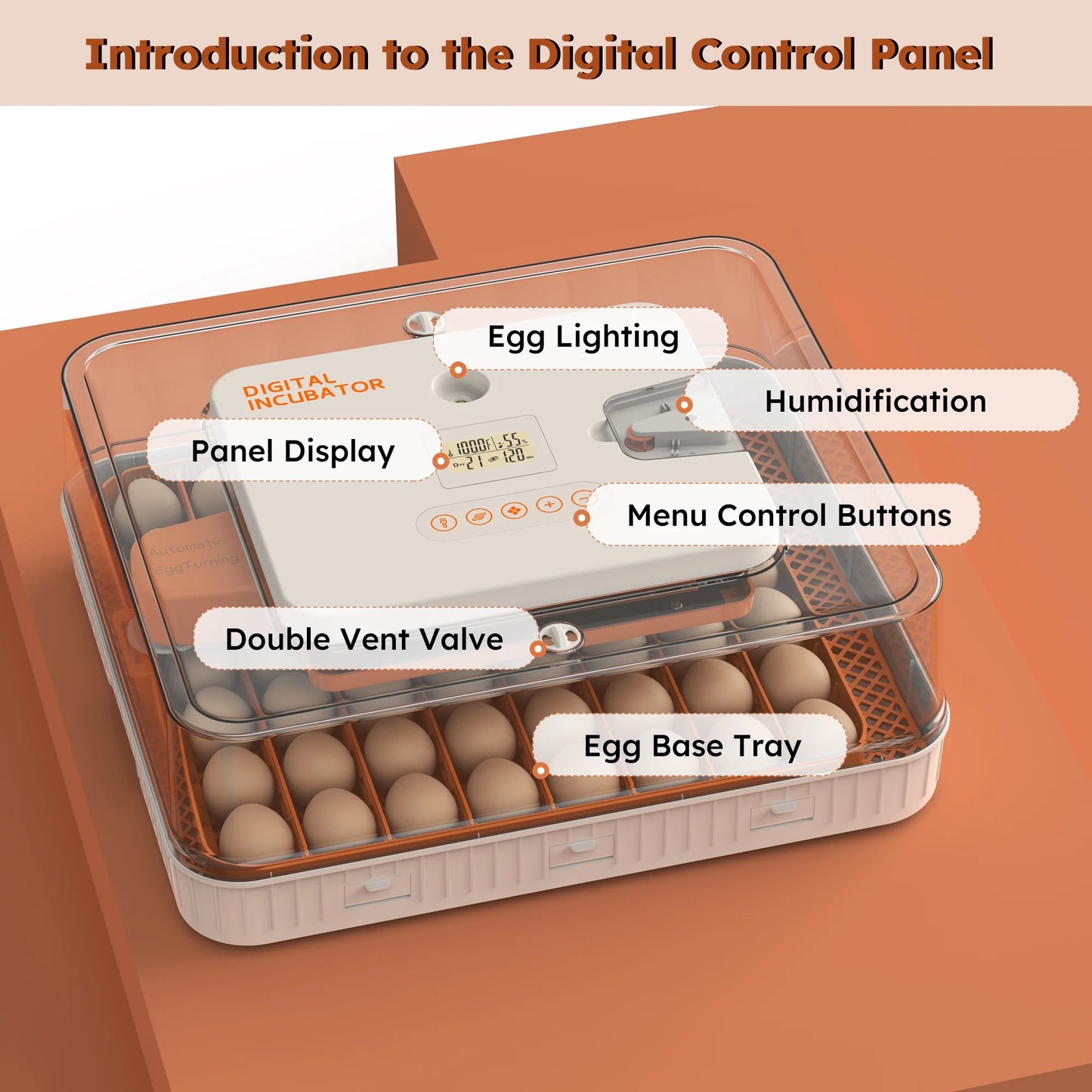 Montary 56 Egg Incubator: Auto Turning, Humidity Control & Water Refill for Chicken/Duck/Goose Eggs w/Candler
