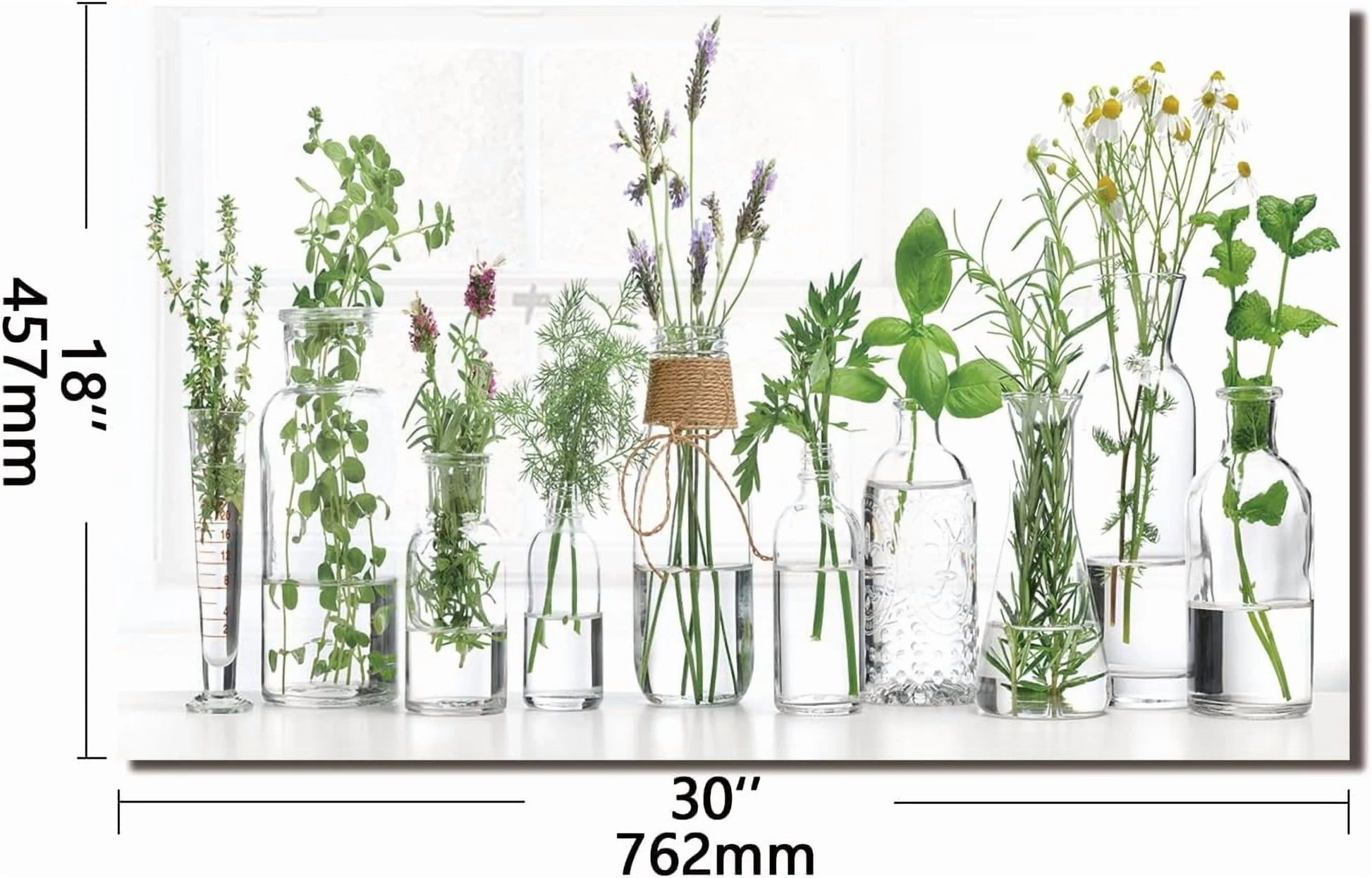 tempered glass backsplash for stove, Green plants Stove Splashback, Glass Backsplash, Used for Kitchen Wall Protection and Decoration, Easy to Install and Clean. (30x16'')