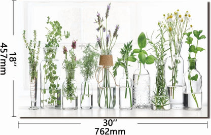 tempered glass backsplash for stove, Green plants Stove Splashback, Glass Backsplash, Used for Kitchen Wall Protection and Decoration, Easy to Install and Clean. (30x16'')