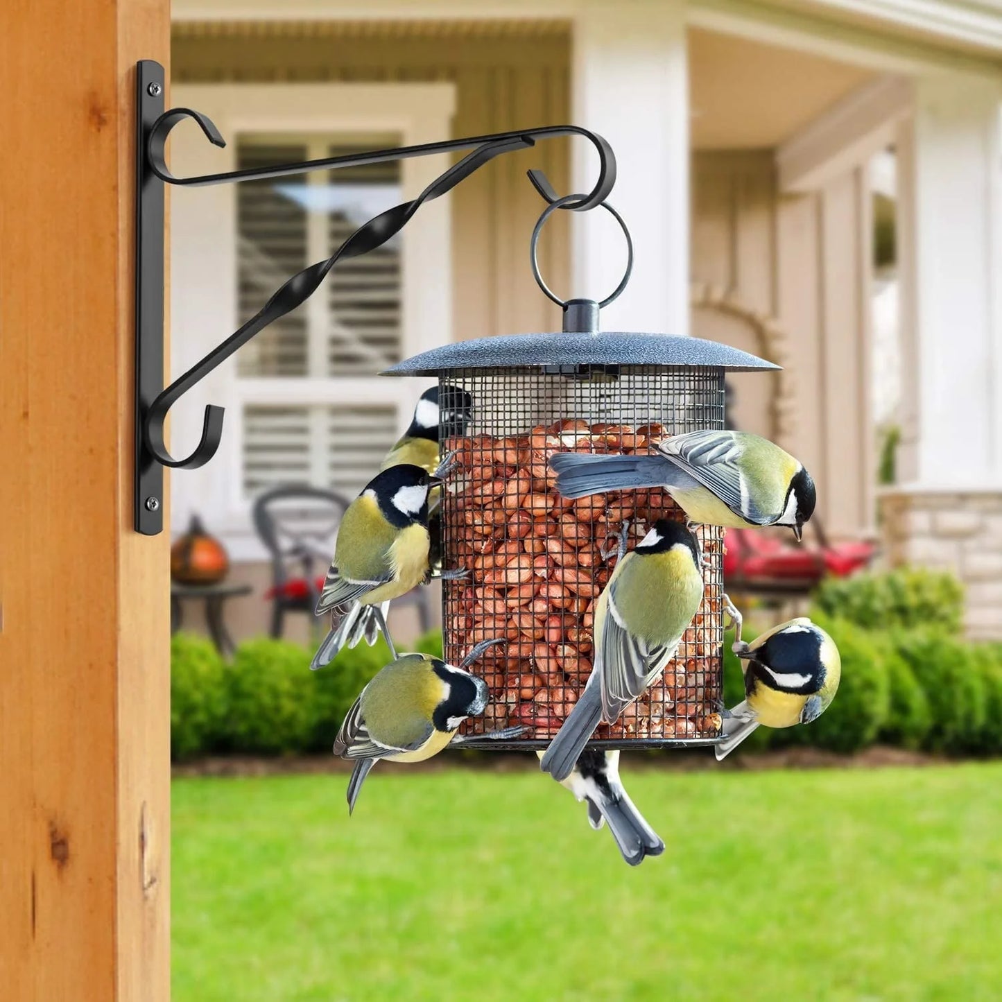 Hanging Plants Bracket 10" Outdoor Hanger Planter Hooks Flower Baskets Pot Wind Chimes Lanterns Hanger,Bird Feeder Patio Garden for Wall Fence Screw Mount Arm Metal Black