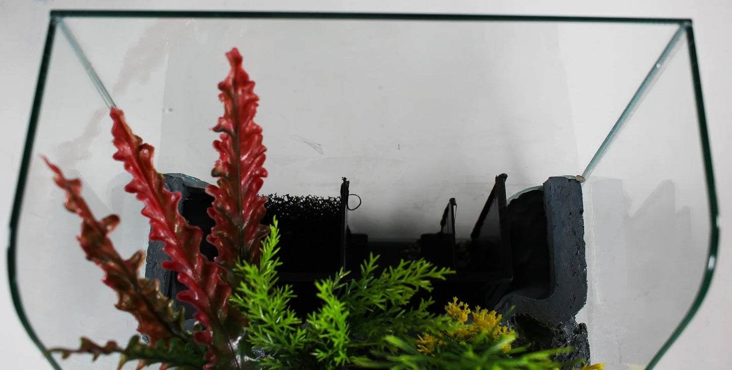 Penn-Plax Aquaterrium Tank - Hydroponic Glass Aquarium for Live Plants and Fish - 1.85 Gallons