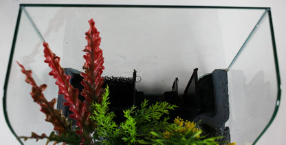 Penn-Plax Aquaterrium Tank - Hydroponic Glass Aquarium for Live Plants and Fish - 1.85 Gallons