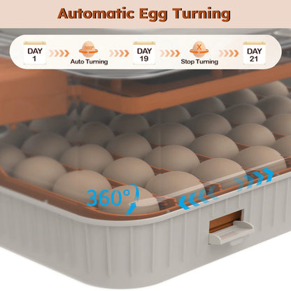 Montary 56 Egg Incubator: Auto Turning, Humidity Control & Water Refill for Chicken/Duck/Goose Eggs w/Candler
