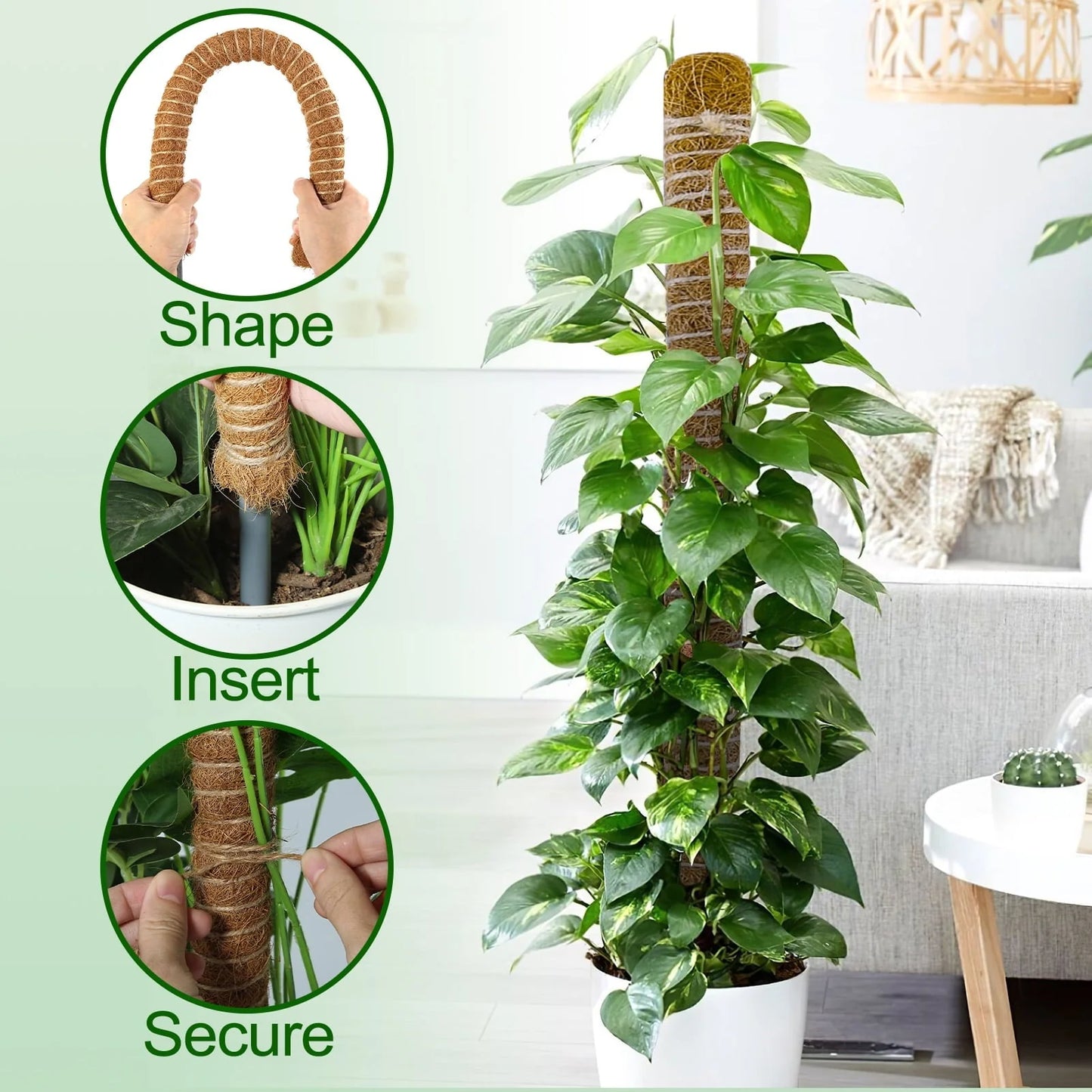 Moss Pole for Plants Monstera, 50 Inch Bendable Moss Pole for Climbing Plants, 2 Pack 25 Inch Coir Totem Pole for Monstera Plant Support Indoor