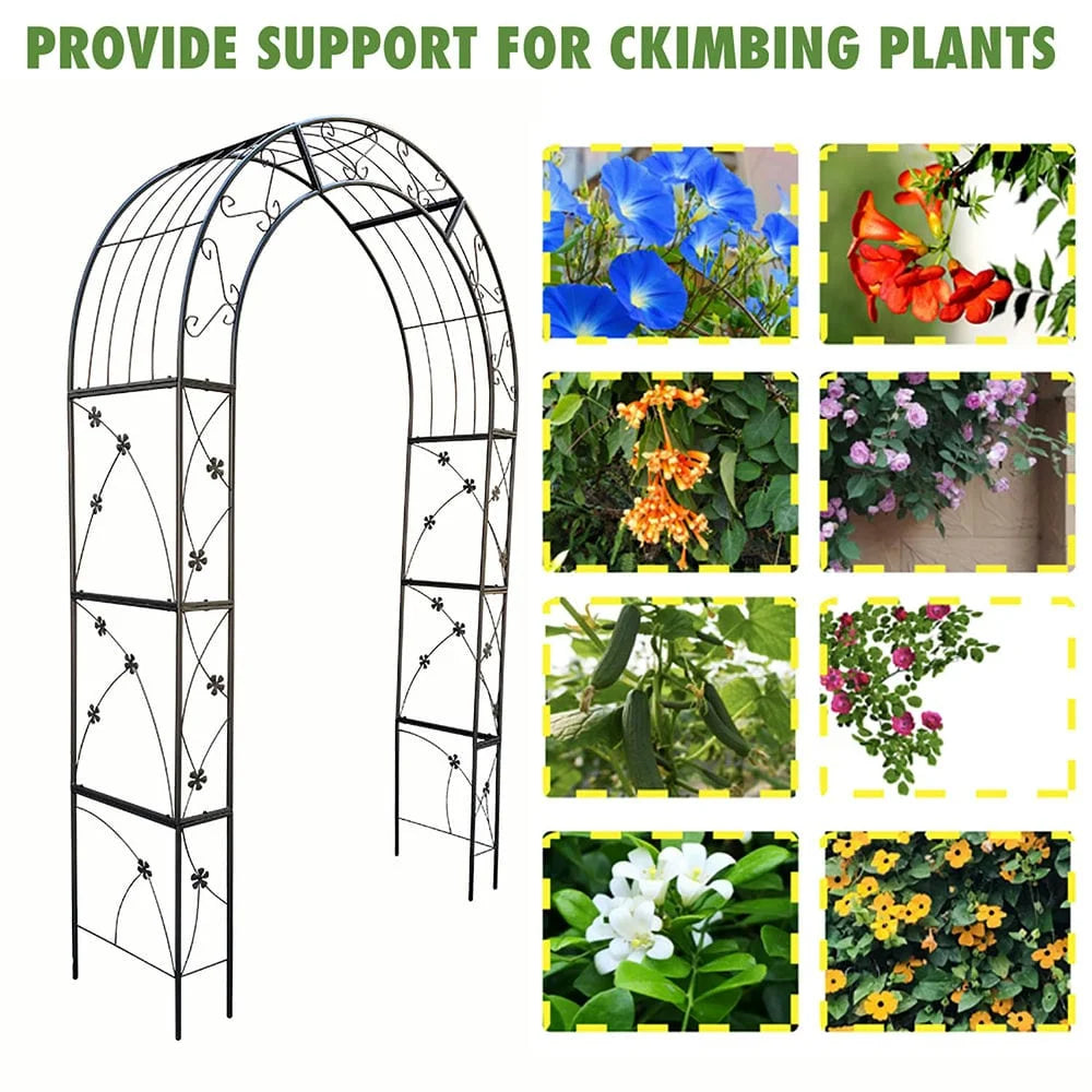 Barara King Garden Plants Arch Trellis,Metal Garden Arch with doors Garden Arbor Trellis Climbing Plants Support Arch Wedding Arch Black