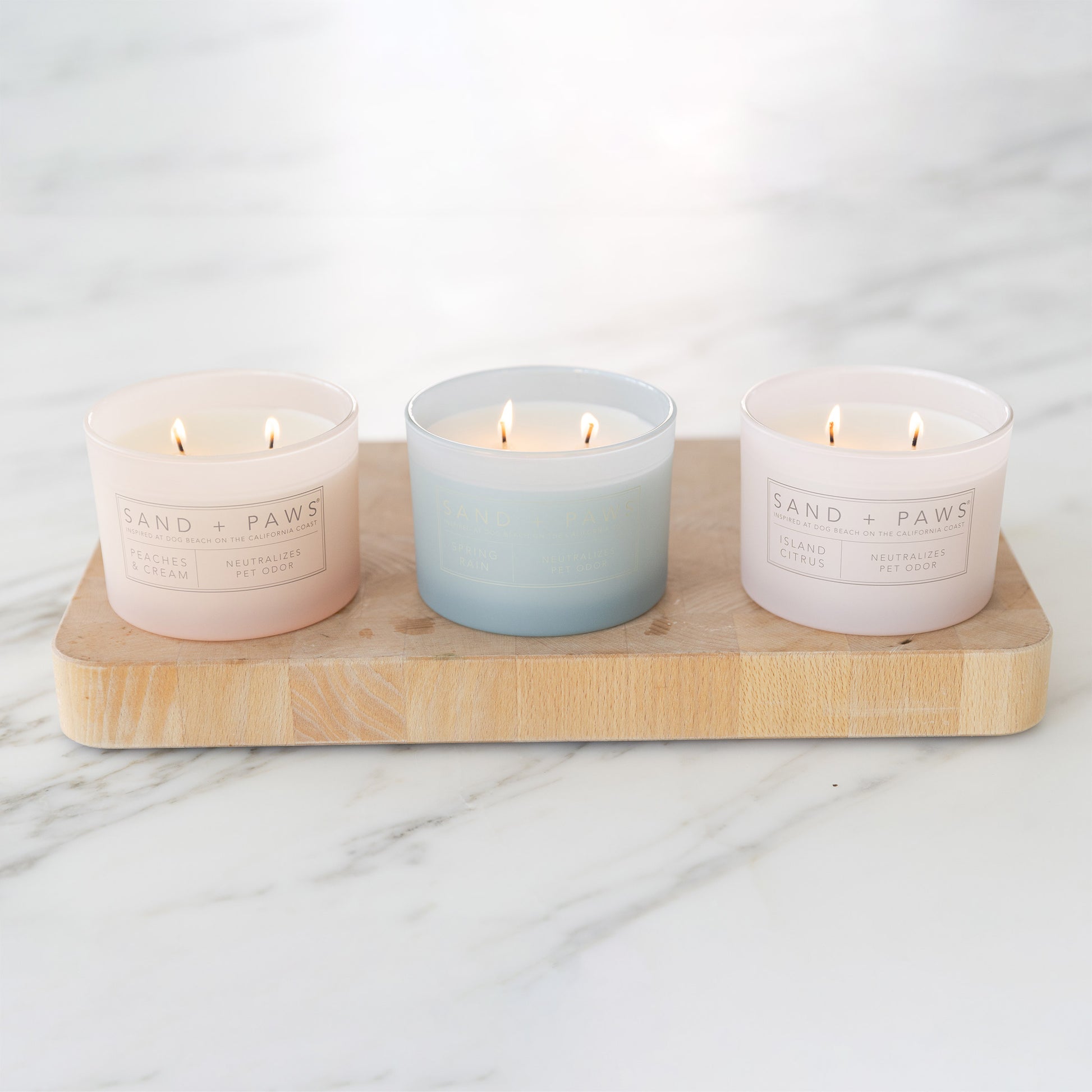 Sand + Paws 12 oz. Candles with Carved Wood Lids, Set of 3