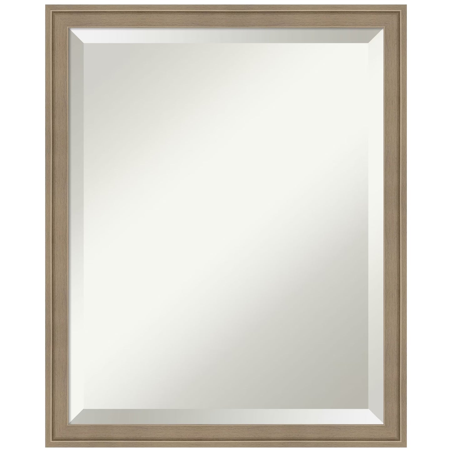 Amanti Art Florence Silver Beveled Wall Mirror 31.75 x 41.75 in.