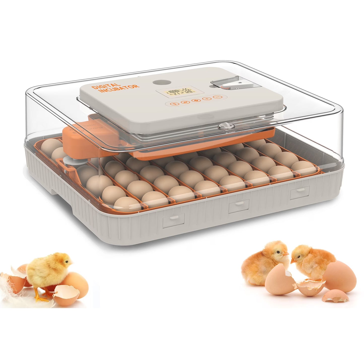 Montary 56 Egg Incubator: Auto Turning, Humidity Control & Water Refill for Chicken/Duck/Goose Eggs w/Candler