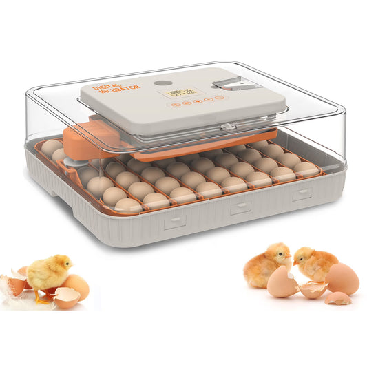 Montary 56 Egg Incubator: Auto Turning, Humidity Control & Water Refill for Chicken/Duck/Goose Eggs w/Candler