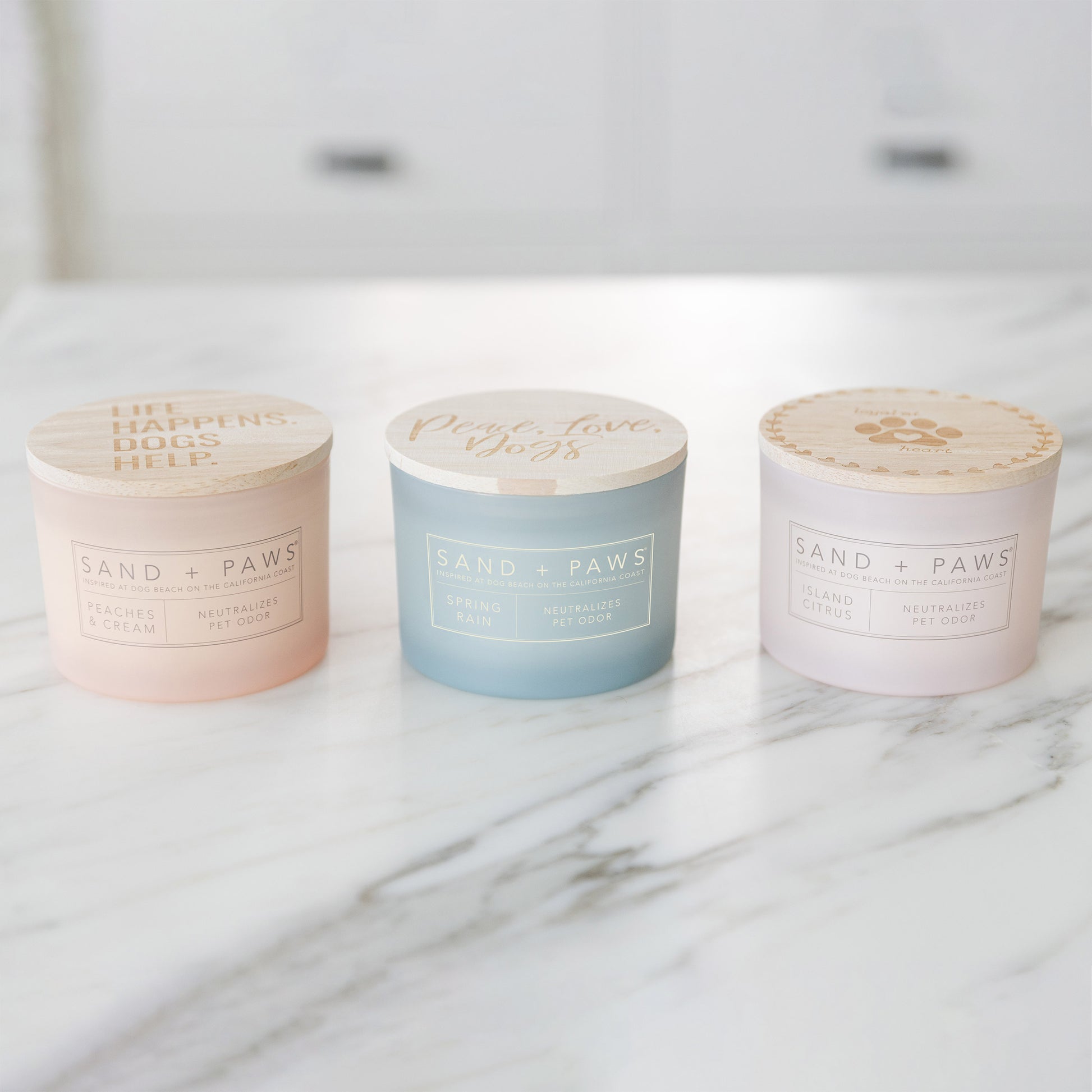 Sand + Paws 12 oz. Candles with Carved Wood Lids, Set of 3