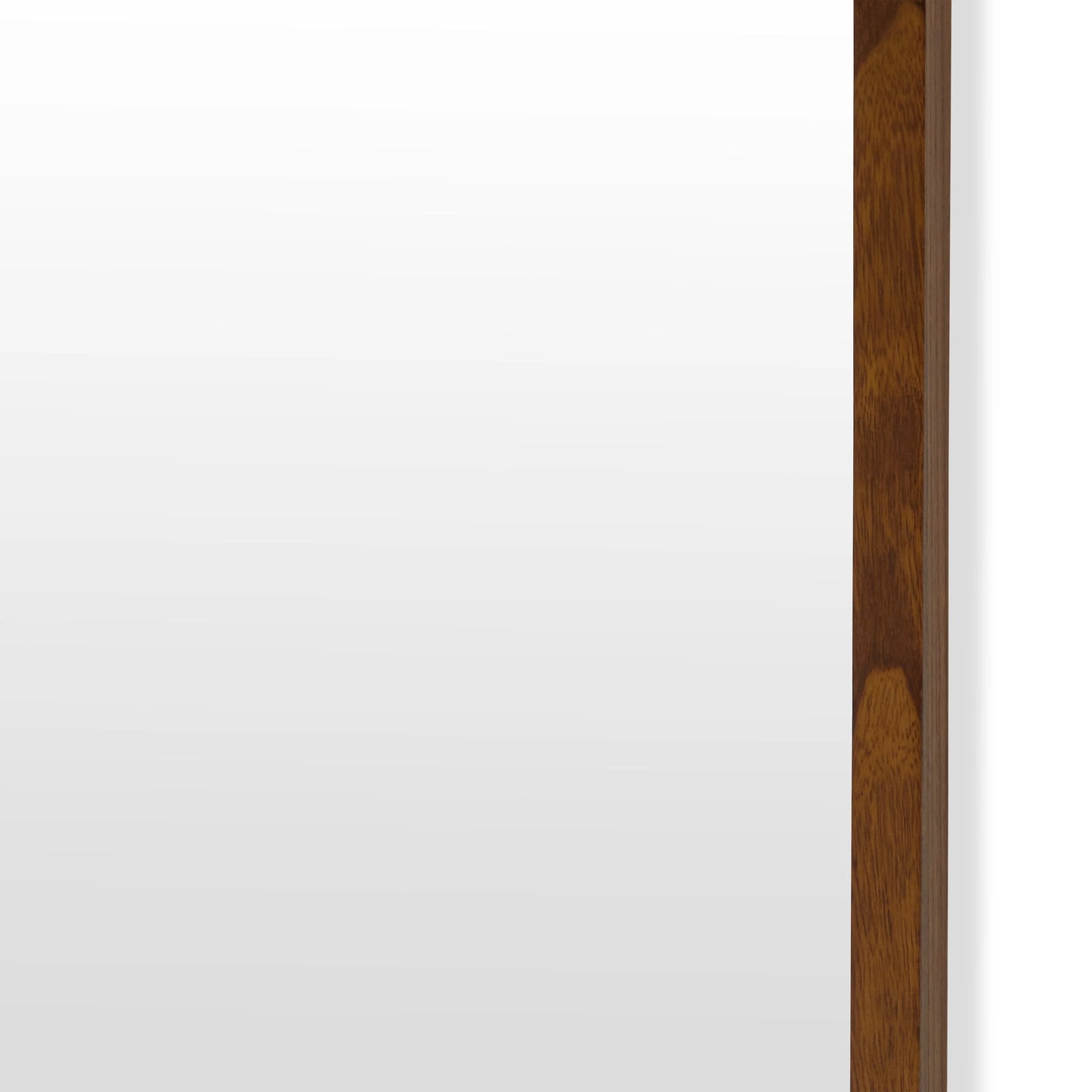 24" x 65" Brown Rectangle Wood Leaner Mirror by Drew Barrymore Flower Home