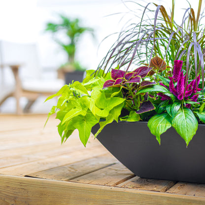 Evolve 20 in. Square Bowl Planters, Black, 2-pack