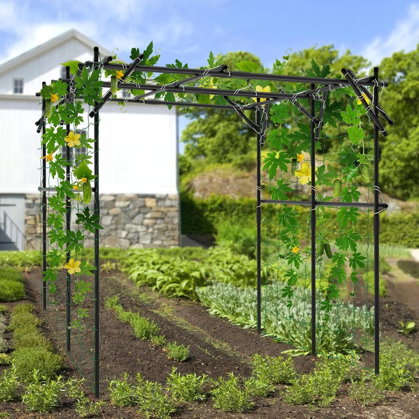 Slsy Tall Garden Arch Trellis for Climbing Plants, 79'' L x 79'' W x 79'' H Large Grape Vine Support Arch Arbor Trellis Plastic-Coated Metal Garden Arch Trellis for Climbing Plants