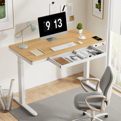 FLEXISPOT 48" W Home Office Height Adjustable Standing Desk White and Maple with USB Charge Ports and Embedded Drawer