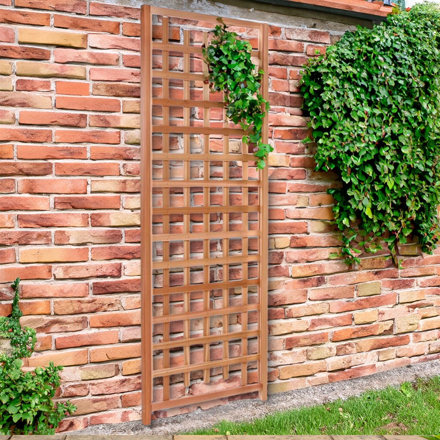 All Things Cedar TS33 Trellis Panel - Cedar Garden Trellis for Climbing Plants
