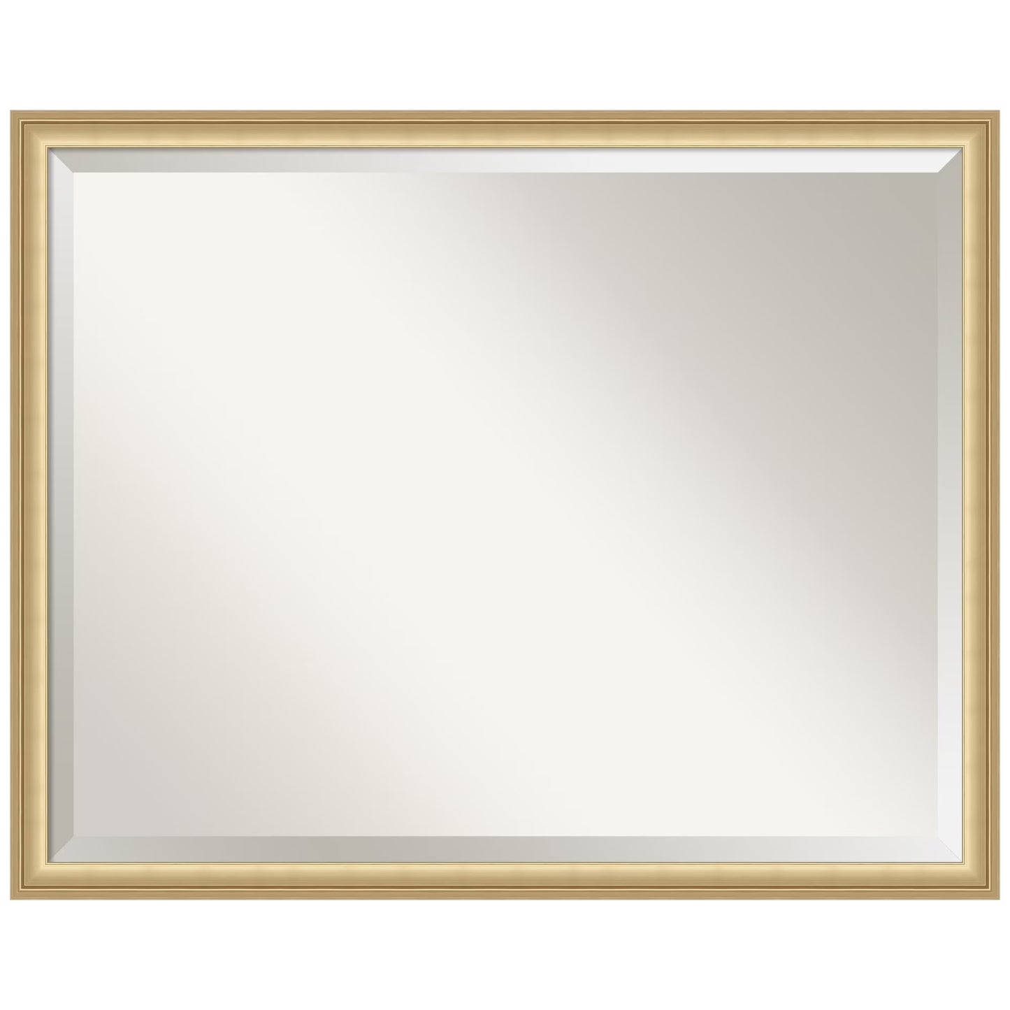 Amanti Art Florence Silver Beveled Wall Mirror 31.75 x 41.75 in.