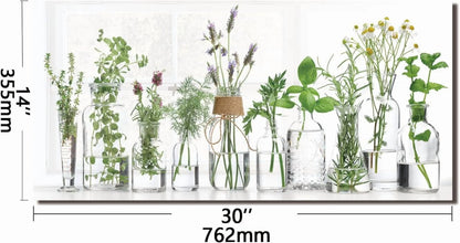 tempered glass backsplash for stove, Green plants Stove Splashback, Glass Backsplash, Used for Kitchen Wall Protection and Decoration, Easy to Install and Clean. (30x16'')