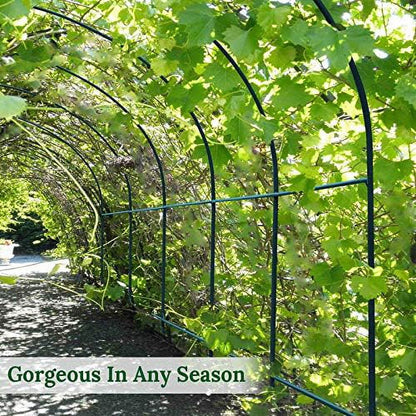 Steel Garden Arch Metal Garden Arch Multi-Size Climbing Plants Arch Arbor (6.5'x 7' x 7.2')