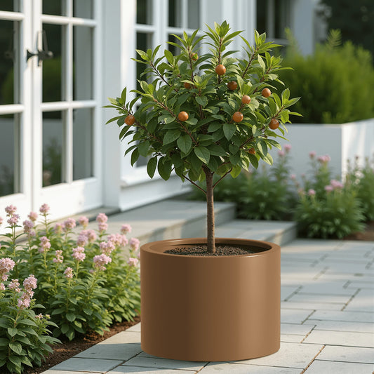 MAYEERTY 16*20"Outdoor Heavy Duty Metal Round Garden Bed,Pre-Rusted Planter Box for Herbs & Flowers, Brown