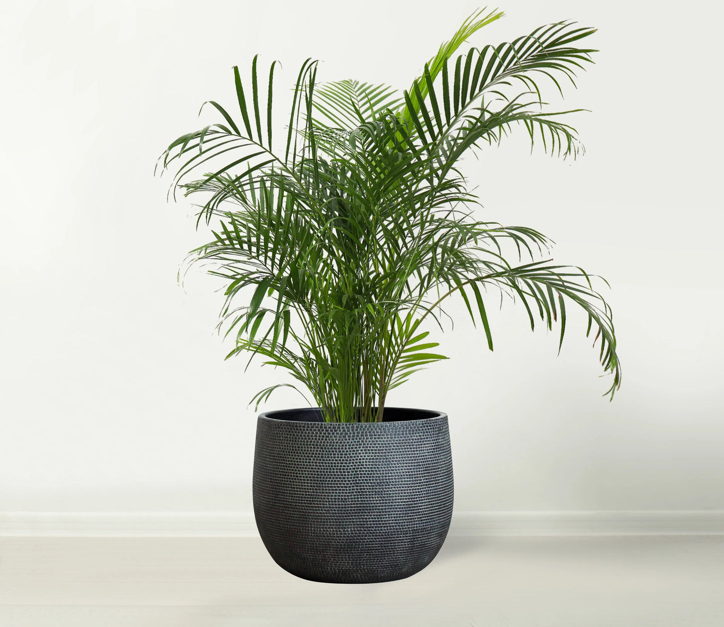 Barcelona Ceramic Plant Pot Large 10 inch - Black Flower Pots - Indoor & Outdoor Planters
