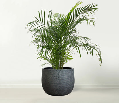 Barcelona Ceramic Plant Pot Large 10 inch - Black Flower Pots - Indoor & Outdoor Planters